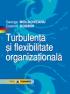 Turbulenta si flexibilitate organizationala