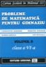 Probleme de matematica pentru gimnaziu Vol. II (Clasa a VI-a)