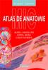 Mic atlas de anatomie 