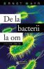 De la bacterii la om