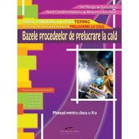 BAZELE PROCEDEELOR DE PRELUCRARE LA CALD. Manual pentru clasa a X-a