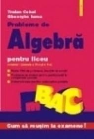 Probleme de algebra pentru liceu (vol. I)