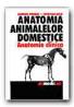 Anatomia Animalelor Domestice (anatomie Clinica)