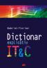 Dictionar Explicativ It & C