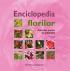 Enciclopedia florilor